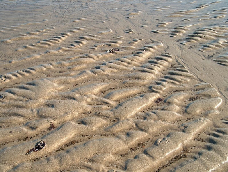 Netherlands Location